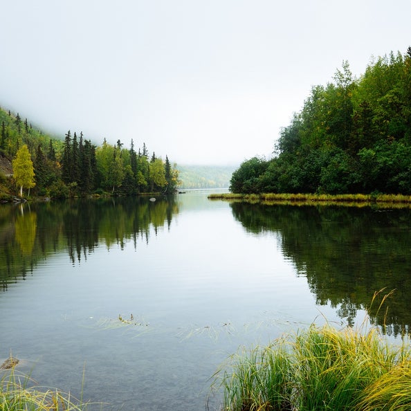 Photo of MaxWell Polaris (Pigeon Lake) office